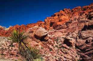 Red Rock Canyon, Nevada-3783